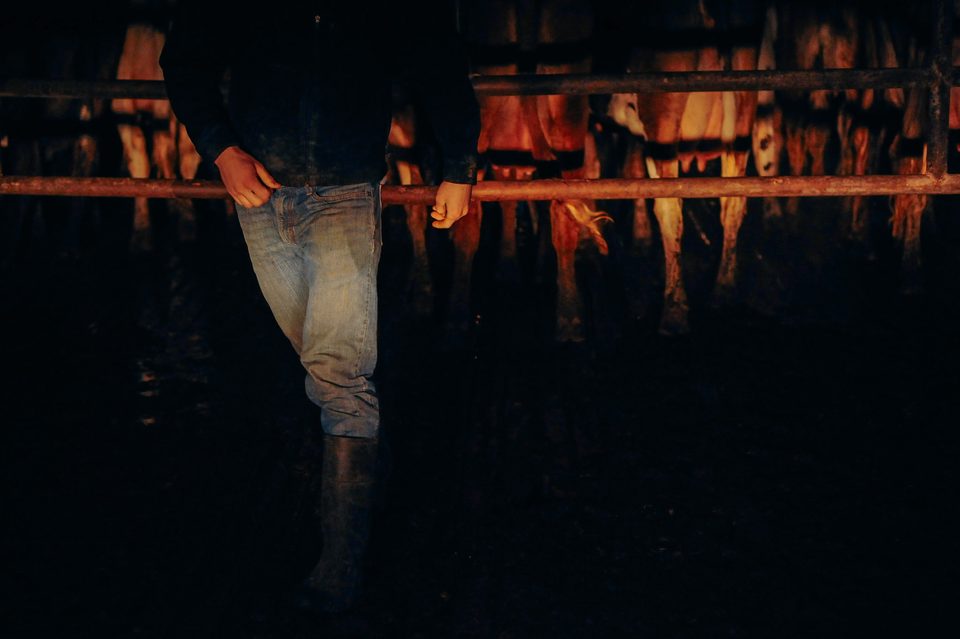 The Family Farm, long-term documentary project in rural Mexico by Dennis Berti (1)
