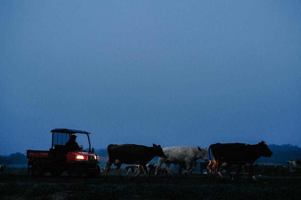 La granja familiar, proyecto documental en el campo mexicano, Dennis Berti (2)