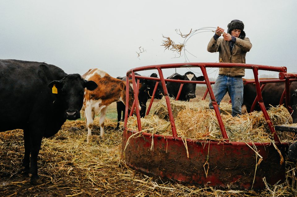 The Family Farm, long-term documentary project in rural Mexico by Dennis Berti (7)