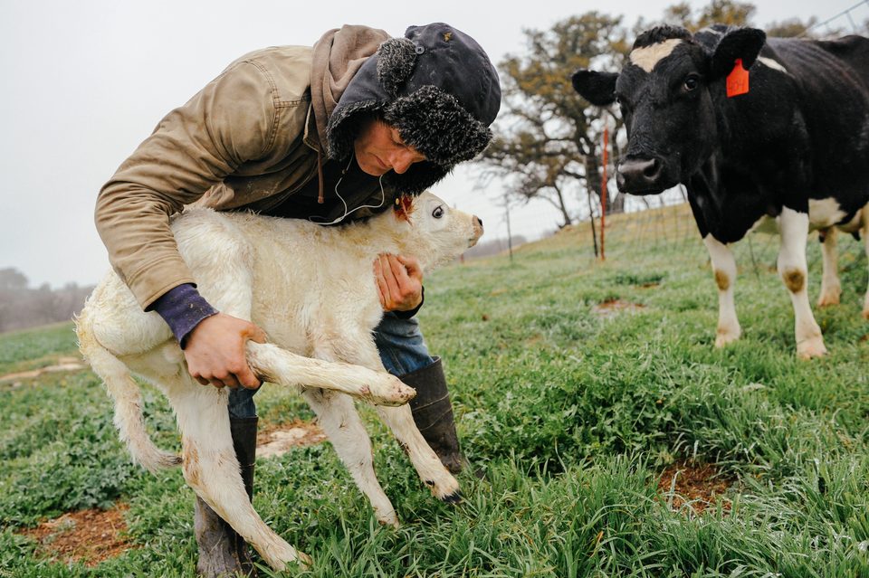 The Family Farm, long-term documentary project in rural Mexico by Dennis Berti (9)