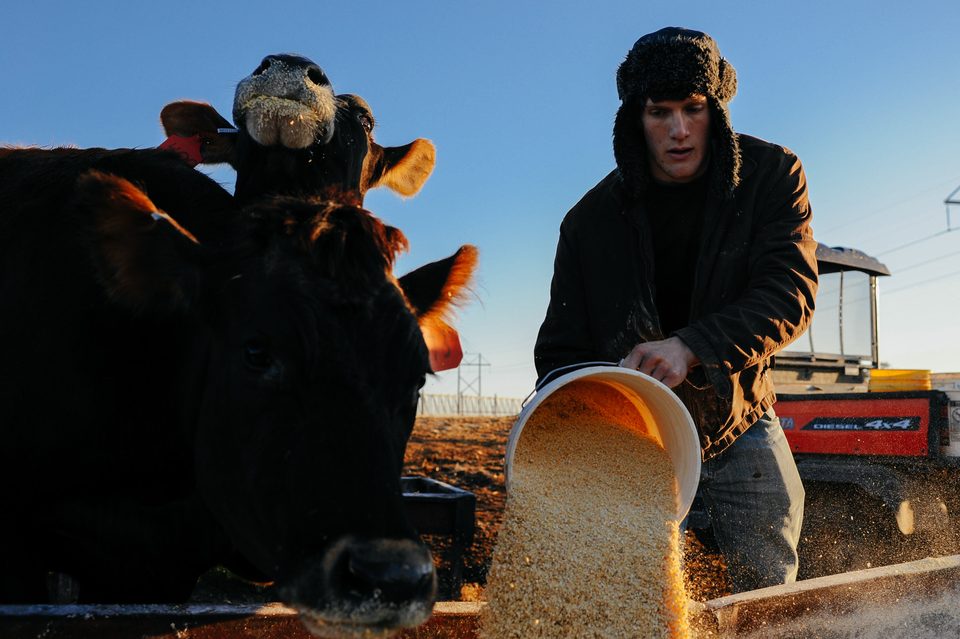 The Family Farm, long-term documentary project in rural Mexico by Dennis Berti (25)