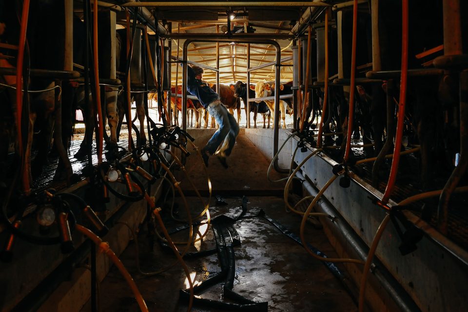 The Family Farm, long-term documentary project in rural Mexico by Dennis Berti (31)