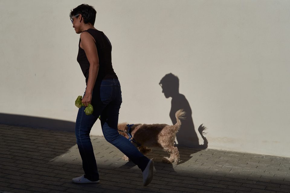 Fotografía documental de perros en México, Dennis Berti (6)