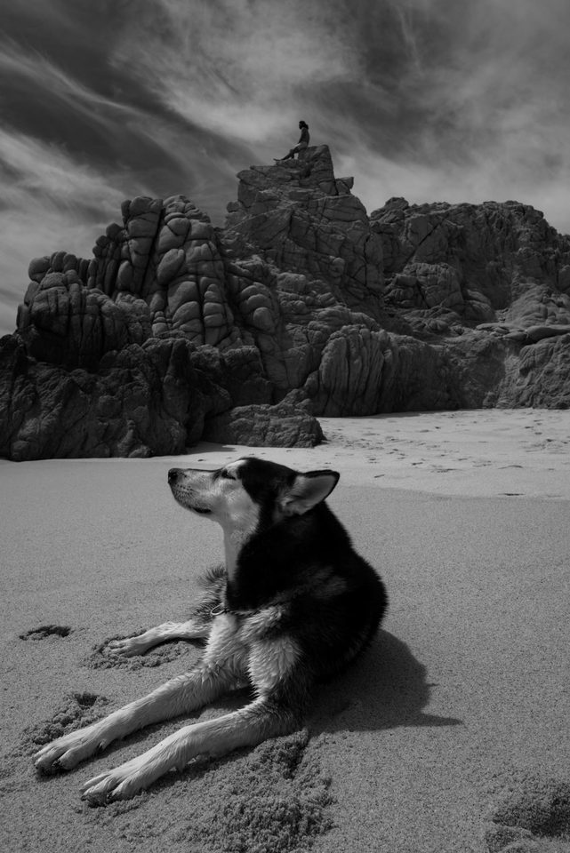 Documentary dog photography in Mexico, Dennis Berti (25)