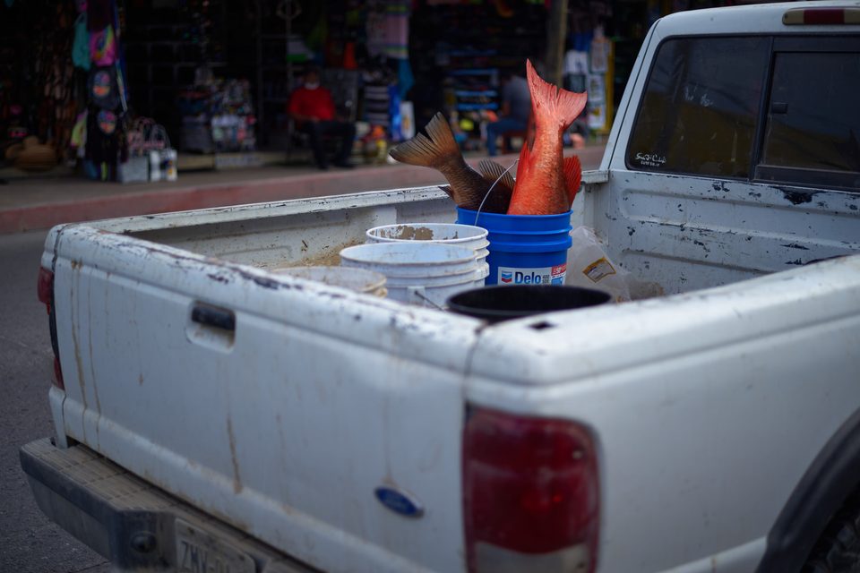 Fotografía de calle en México, Dennis Berti (18)